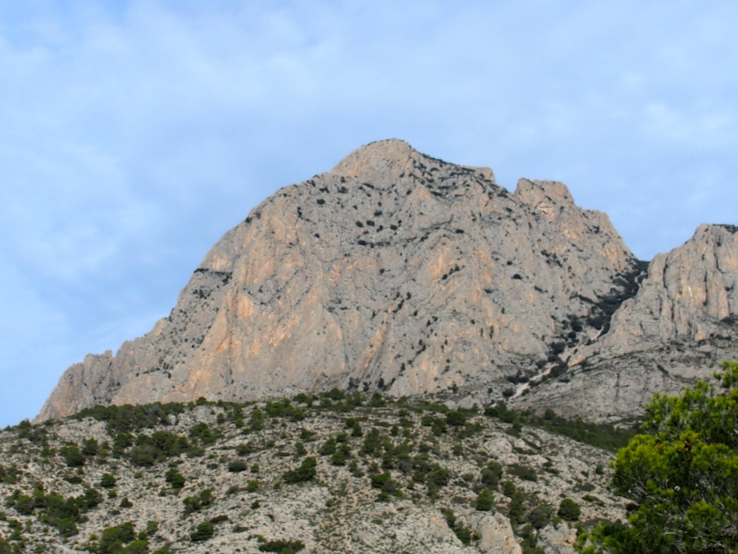 Puig Campana 1